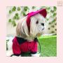 Buy Dog Dresses Accessories Dog Clothes Online in India