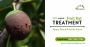 100% Organic Fruit Rot Treatment-Apple, Grapevines