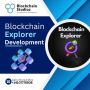 Blockchain Explorer Development Experts