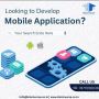 Maximizing Mobile Application Development