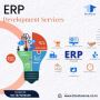 The Comprehensive Guide to ERP Development Services