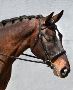 Finding the Perfect Dressage Bridle for Your Horse