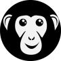 Brand Identity and Logo - Bonoboz Marketing Services 