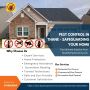 Pest Control in Thane - Safeguarding Your Home