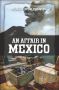 An Affair in Mexico 