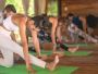 Transformative Experience: 200-Hour Yoga Teacher Training in