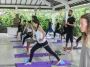 Yoga Training Retreats That Transform: Revitalise Your Mind,