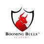 Learn to trade in the most simplified way in Booming Bulls.