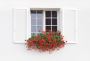 Find Top-Notch Window Shutters in Surbiton