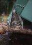 Best Gutters for Rainwater in Sherman Oaks, CA Best Gutters for Rainwater in Sherman Oaks, CA