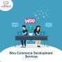 WooCommerce plugin development services W3care