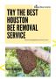 Safe Live Bee Removal in Houston