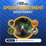 Effective Spider Treatment in Gold Coast Effective Spider Treatment in Gold Coast