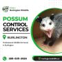 Possum Control Burlington