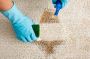 Transform Your Carpets with De Vere Carpet Spot Dyeing Servi
