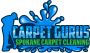 Spokane Valley Carpet Cleaning Company