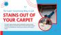 Say Goodbye to Stains with Carpet Cleaning Clayfield Say Goodbye to Stains with Carpet Cleaning Clayfield
