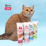 Best Dry Cat Food Brands in Singapore for a Health