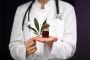 Boca Raton Medical Marijuana Card | CBD-DOCS Florida