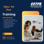 Python Full Stack Training with CETPA Infotech