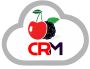 Customer Relationship Management – Cherry Berry CRM
