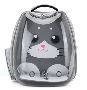 Buy Perfect Stylish Clear Cat Backpacks | Clear Moda