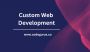 The Power of Custom Web Development 