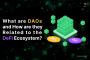 What are DAOs and How are they Related to the DeFi Ecosystem