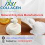 "Boost Your Industrial Processes with Natural Enzymes from T