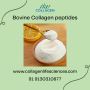 Bovine Collagen Peptides: Benefits and Uses