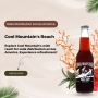 Premium Soda Wholesalers and Retailers in the USA: Cool Moun