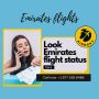 Looking for details on checking emirates flight status? 