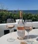 Austalia’s Wine Experts - Rose Bay