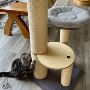 Buy Cat Tree With Bed Online