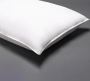  Buy Cotton Pillow Online UAE | Cottonhome