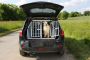 Reliable Pet Transport Service in Pennsylvania: Country Star
