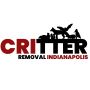 Critter Removal Indianapolis