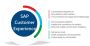 Optimize Your Business Processes and Workflows with SAP CX
