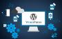 Get the Best WordPress Website Development Services