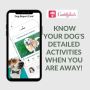 Top Rated Dog Boarding and Dog Sitting Services in Buckeye Top Rated Dog Boarding and Dog Sitting Services in Buckeye