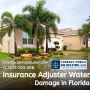 Insurance Adjuster Water Damage in Florida