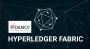 Data Exchange Solutions from US-Based Hyperledger Company