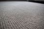 Are you searching for Professional Carpet Cleaning Services?