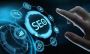 SEO Packages in India - Netking Technology
