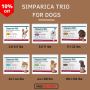 Simparica Trio for Dogs | One Chew, Triple Protection