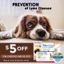 SALE - Prevention of Lyme Disease Month 10% OFF + $5 OFF