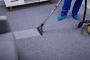 Top-rated Carpet Cleaners Near You in Washington DC