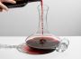 Shine Bright: Your Go-To Decanter Cleaning Tips