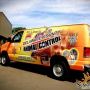 Delaware County Animal Control Delaware County Animal Control