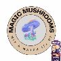 Order Magic Mushrooms Online in Canada